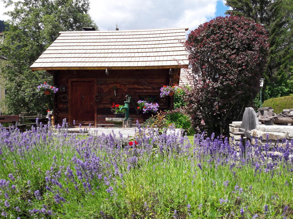 Hotel Stegmuehlhof Mauterndorf (Salzburg)